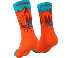 Dynafit Stay Fast Socken Unisex Iowa